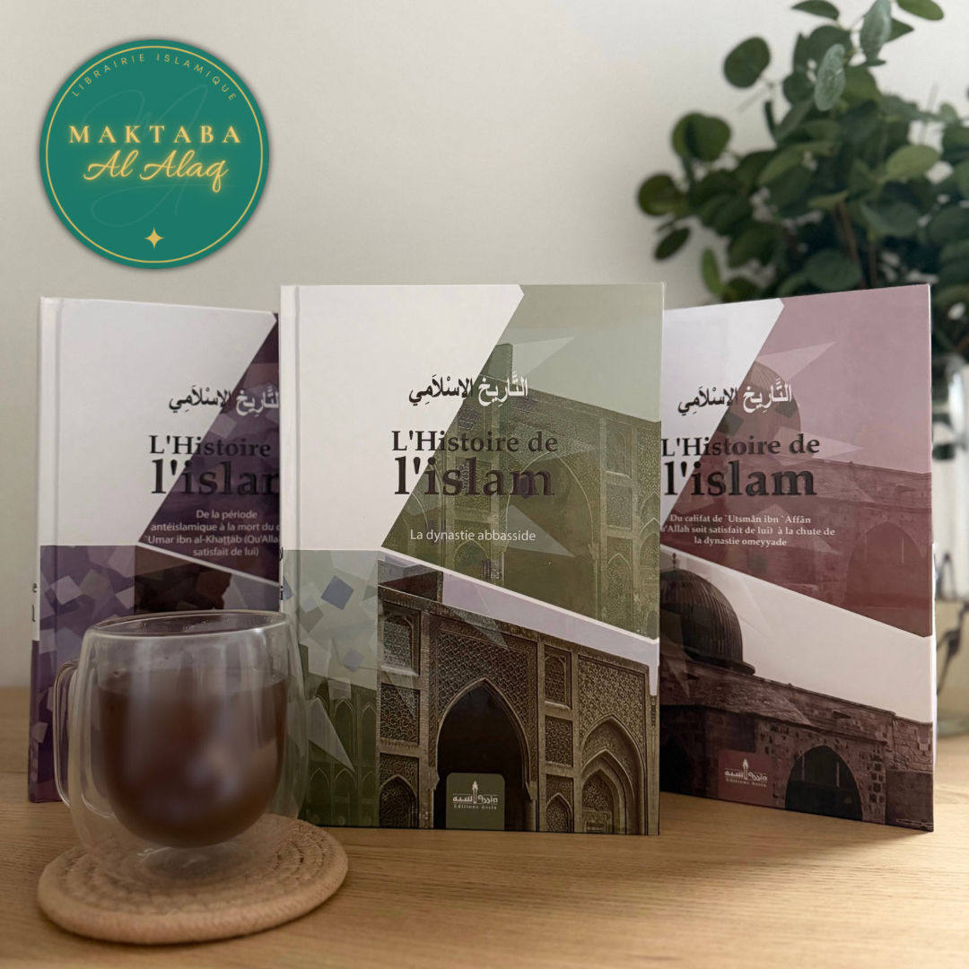 L’histoire de l'islam (en 3 volumes)